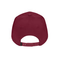 tm-lsventura-stck-hat-brgndy — Bild 3